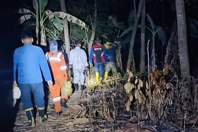 Petugas Damkar Kabupaten Semarang usai mengevakuasi sarang tawon vespa affinis