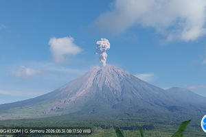 Gunung Semeru Erupsi 33 Kali, Letuskan Asap Tebal Setinggi 1.300 Meter di Atas Puncak