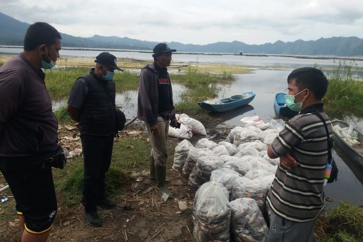 Sebanyak 23,8 ton ikan nila atau ikan mujair di Keramba Jaring Apung (KJA) di Danau Batur, Bangli, Bali mati akibat keracunan belerang