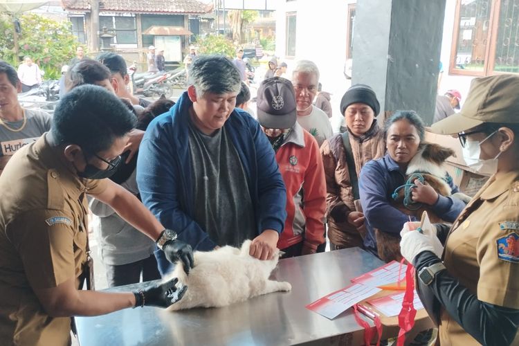 Vaksinasi Massal Anjing di Buleleng, Usai Warga Tewas karena Rabies
