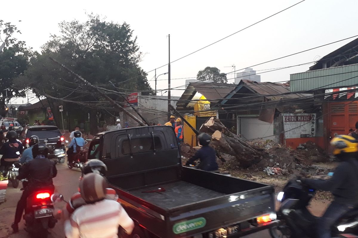 Pohon tumbang di Jalan Komodor Halim Perdana Kusuma, Makasar, Jakarta Timur, membuat arus lalu lintas padat merayap, Kamis (24/10/2019).