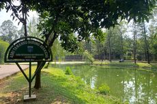 Taman Bambu di Jakarta Timur: Lokasi, Jam Buka, dan Fasilitas