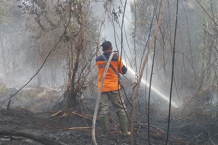 Petugas BPBD Riau memadamkan api karhutla di Desa Rimbo Panjang, Kabupaten Kampar, Riau, Selasa (17/9/2019).
