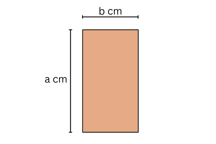 Persegi panjang dengan panjang a cm dan lebar b cm.