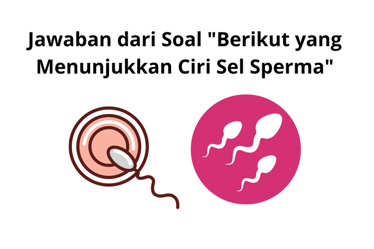 Jawaban Dari Soal Berikut Yang Menunjukkan Ciri Sel Sperma