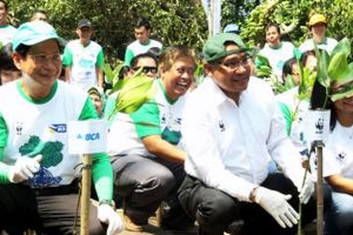 Presiden Direktur BCA Jahja Setiaatmadja (kiri) dan CEO WWF Indonesia Efransjah (kedua dari kanan) melakukan penanaman pohon mangrove, Rabu (18/3/2015).