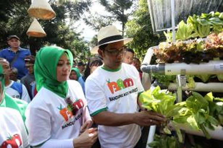  Wali Kota Bandung, Ridwan Kamil, bersama istrinya Atalia Ridwan Kamil, yang juga menjabat sebagai ketua TP PKK Kota Bandung, meluncurkan Bandung Agri Market (BAM) yang berlokasi di Taman Cikapayang, Kota Bandung, Minggu (25/5/2014). 
