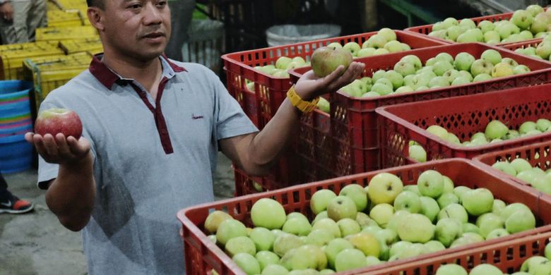 Cerita Sugeng Sukses Bisnis Apel Dengan Kredit Usaha Kecil