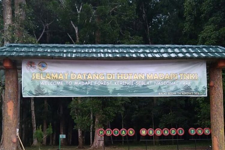 Hutan Madapi
