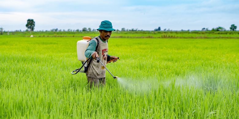 Perpres tentang Lahan Pertanian Pangan Berkelanjutan (LP2B) dibutuhkan untuk menghentikan alih fungsi lahan pertanian dan luas bahan baku sawah yang setiap tahunnya tercatat menyusut seluas 120 ribu hektar