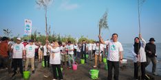 Pemprov Jateng Tanam Mangrove Serentak di 16 Daerah Pesisir
