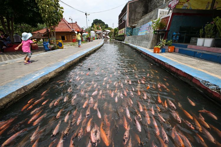 wisata ikan gajahwong
