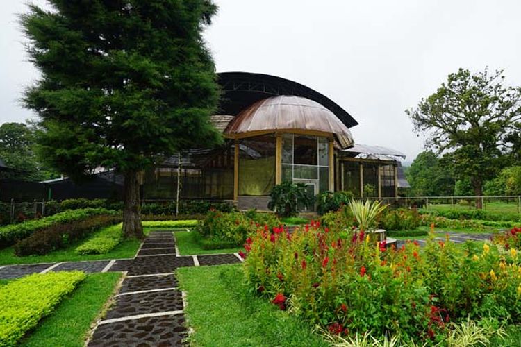 Rumah Kaca Begonia di Kebun Raya Bali