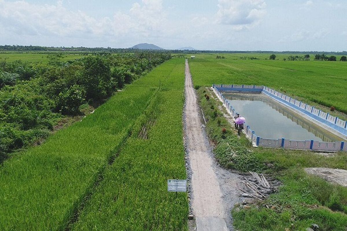 Perairan lahan sawah.