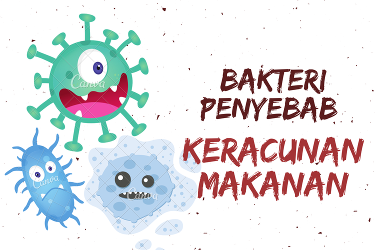 Bakteri Penyebab Keracunan Makanan