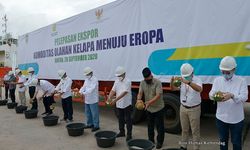 Mendag Dorong Ekspor Komoditas Pertanian Indonesia 