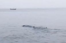 Main Dulu Biar Paham, Cara SBM ITB Ajak Belajar Bisnis lewat Board Game