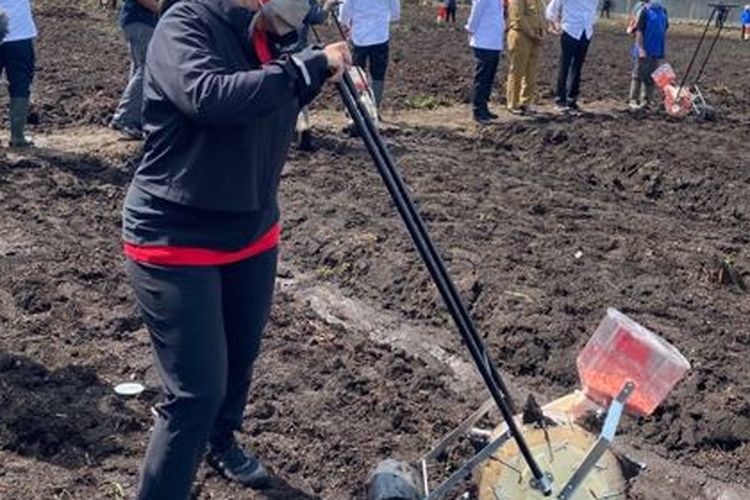 Ketua DPR RI Puan Maharani menanam jagung dalam kunjungan kerja bersama Presiden Joko Widodo (Jokowi) di Kawasan Jalan Rajawali, Kelurahan Klamesen, Distrik Mariat, Kabupaten Sorong, Senin (4/10/2021).
