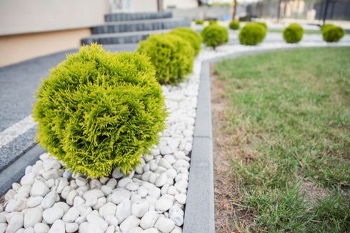 Sibuk Sambut Lebaran, Jangan Abaikan Kondisi Taman