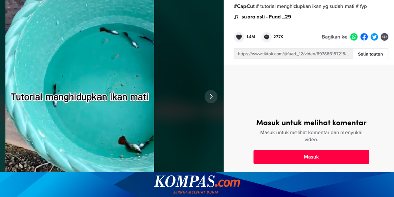 440 Ikan Hias Air Laut Video Terbaru
