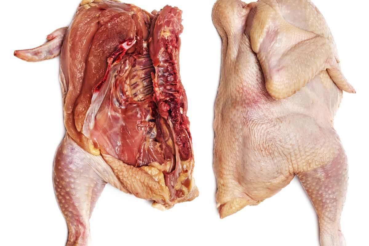 Ilustrasi daging ayam tiren. Viral video berdurasi 16 detik yang menunjukkan atlet binaraga makan daging ayam tiren. Dokter gizi menanggapi hal itu sangat membahayakan para atlet.