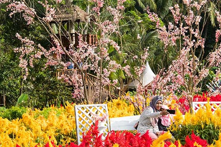 Spot foto berupa pohon sankura di Taman Ramadanu, Magelang.