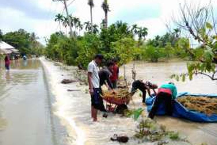 Warga bergotong royong menyelamatkan padi dari arus banjir di Desa Rayeuk Pange, Kecamatan Pirak Timu, Aceh Utara, Minggu (8/2/2016)