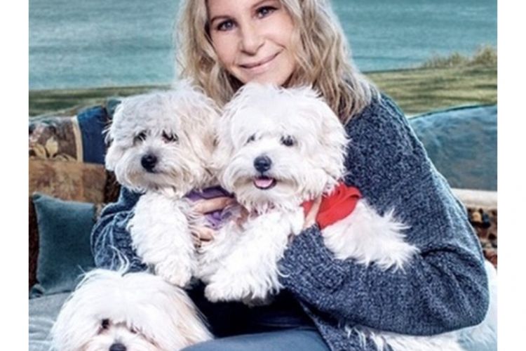 Barbra Streisand ungkap punya dua anjing hasil kloning. 