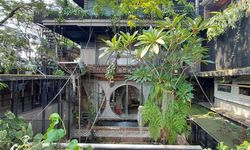 7 Pohon Peneduh yang Bikin Halaman Rumah Lebih Nyaman