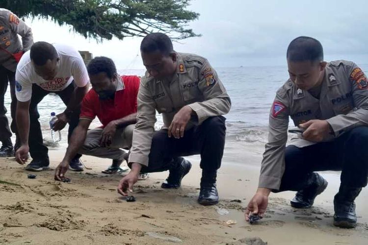 AKBP Fredrickus W.A. Maclarimboen bersama anggota Polres Jayapura dan Kelompok Pelestarian Penyu Markisi Nung, saat melepaskan 15 ekor anak penyu di Pantai Kampung Dormena, Distrik Depapre, Kabupaten Jayapura, Papua, Selasa (29/8/2023).