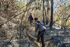 Update Kebakaran Hutan Gunung Arjuno dan TNBTS 