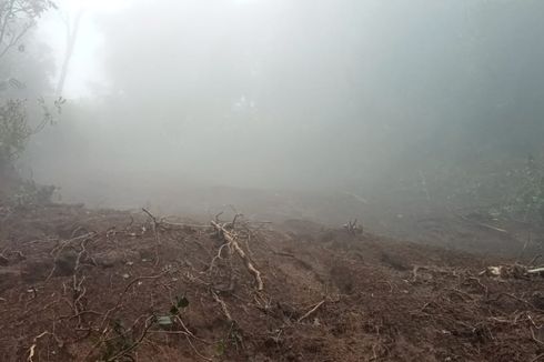 Proyek Pipa Air Bersih di Hutan Lindung Gunung Slamet Diduga Picu Kerusakan Hutan