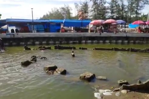 Mengenal Pantai Air Manis, Lokasi Batu Malin Kundang yang Viral