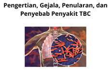 Pengertian, Gejala, Penularan, dan Penyebab Penyakit TBC