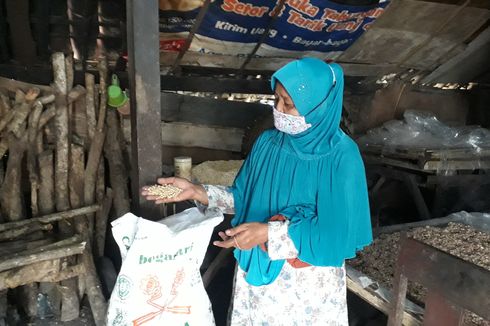 Kedelai Mahal, Perajin Tempe di Malang Pilih Perkecil Ukuran