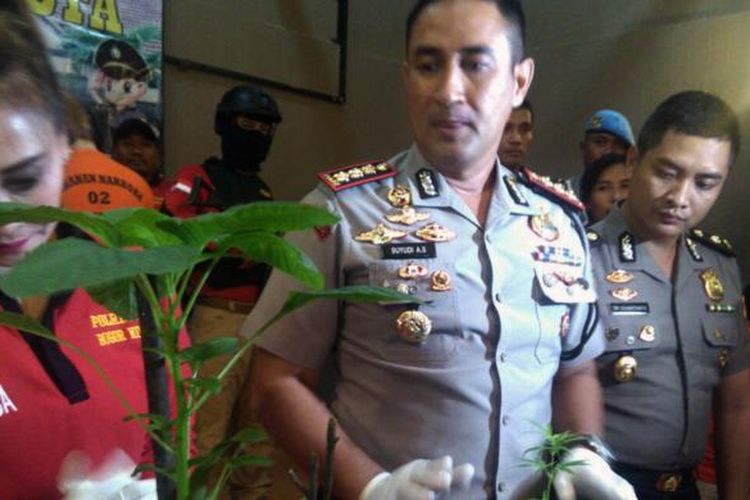 Polresta Bogor Kota mengungkap peredaran narkoba dan mengamankan ratusan pil ekstasi, sabu seberat 6,5 gram, serta dua buah pot yang ditanami ganja, di Mapolresta Bogor Kota, Selasa (7/2/2017).