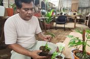 Kisah Perjuangan Pedagang Tanaman Hias di Depok hingga Dapat Barter Rumah Rp 500 Juta