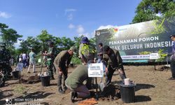 KLHK dan TNI Tanam 1.500 Anakan Pohon di Kota Kupang