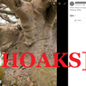 [HOAKS] Pohon Tertua di Dunia Berusia 6.000 Tahun Ada di Tanzania