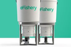 Kasus eFishery, Saatnya Ada Lembaga Pengawas Startup