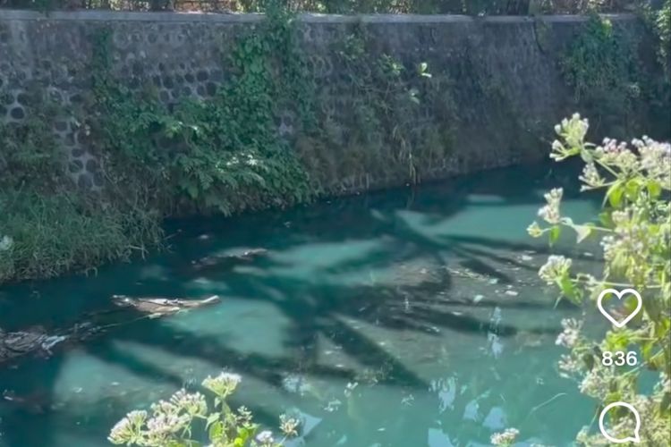 Air Sungai Sobo di Banyuwangi Berubah Hijau, DLH Temukan Jalur Pipa ke Sungai