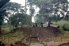 Ada Kota Kuno Berusia 2.500 Tahun di Hutan Amazon, Tersembunyi dalam Pepohonan Lebat