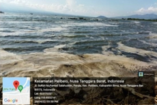 Muncul Lapisan Cokelat Tebal di Teluk Bima, Ini Kata Pakar IPB