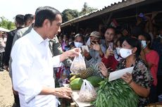 Temui Pedagang di Pasar Alasa Nias, Jokowi Belanja Cabai hingga Pisang