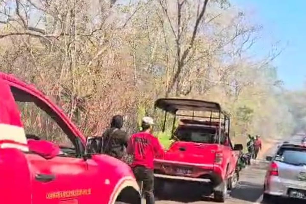 Pengelola di Taman Nasional Baluran Jawa Timur melakukan pemadaman api akibat kebakaran musim kemarau pada Minggu (18/8/2024).