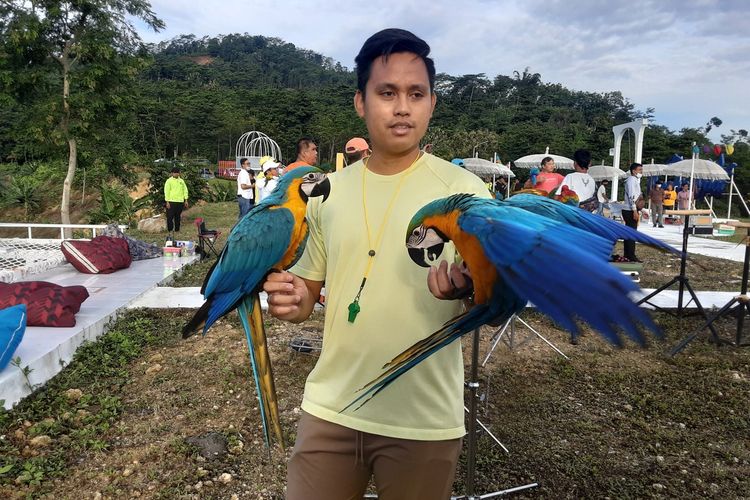 Bupati Kendal, Dico M Ganinduto, dengan burung Macaw miliknya. KOMPAS.COM/SLAMET PRIYATIN