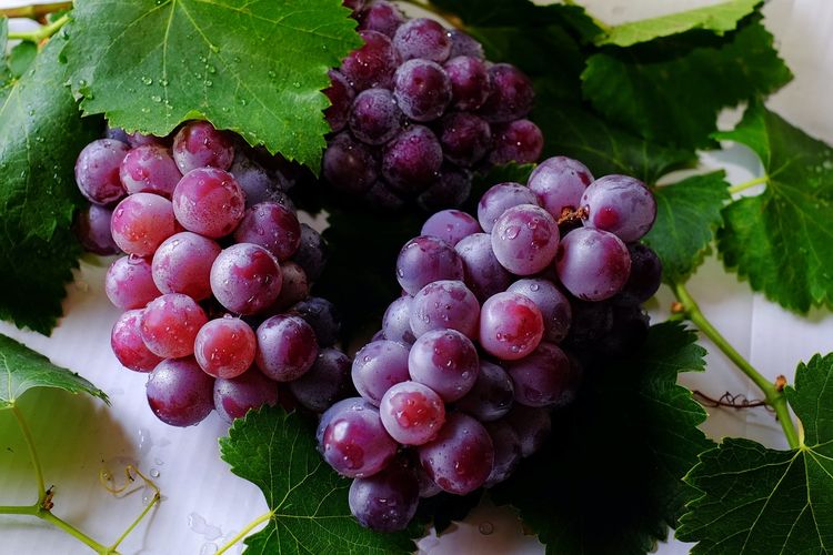 Salah satu buah yang tidak perlu dikupas kulitnya termasuk anggur. Selain karena sulit untuk dilakukan, mengupas kulit anggur sebelum memakannya juga akan membuat kita kehilangan resveratrol.