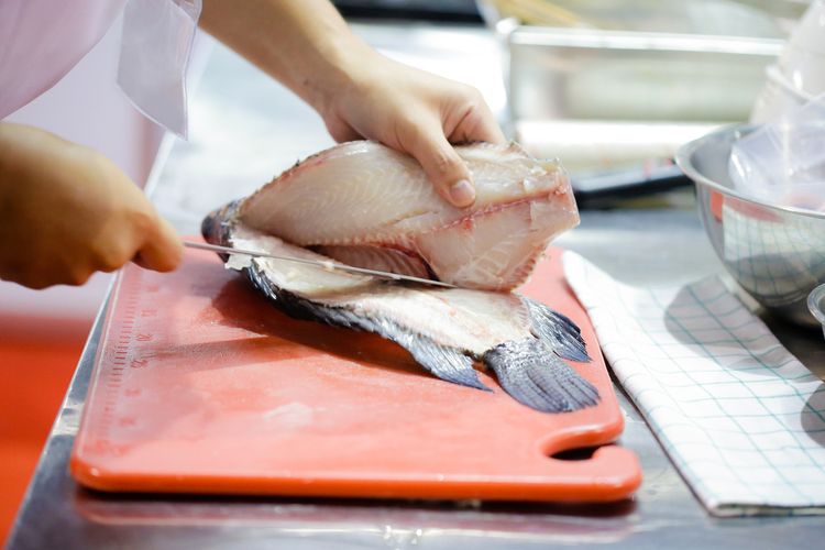 Ilustrasi ikan putih atau ikan daging putih. Ikan putih lebih kaya protein dibanding ikan berlemak.