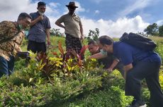 Budidaya Lebah Tanpa Sengat, Bisnis Menggiurkan di Masa Pandemi