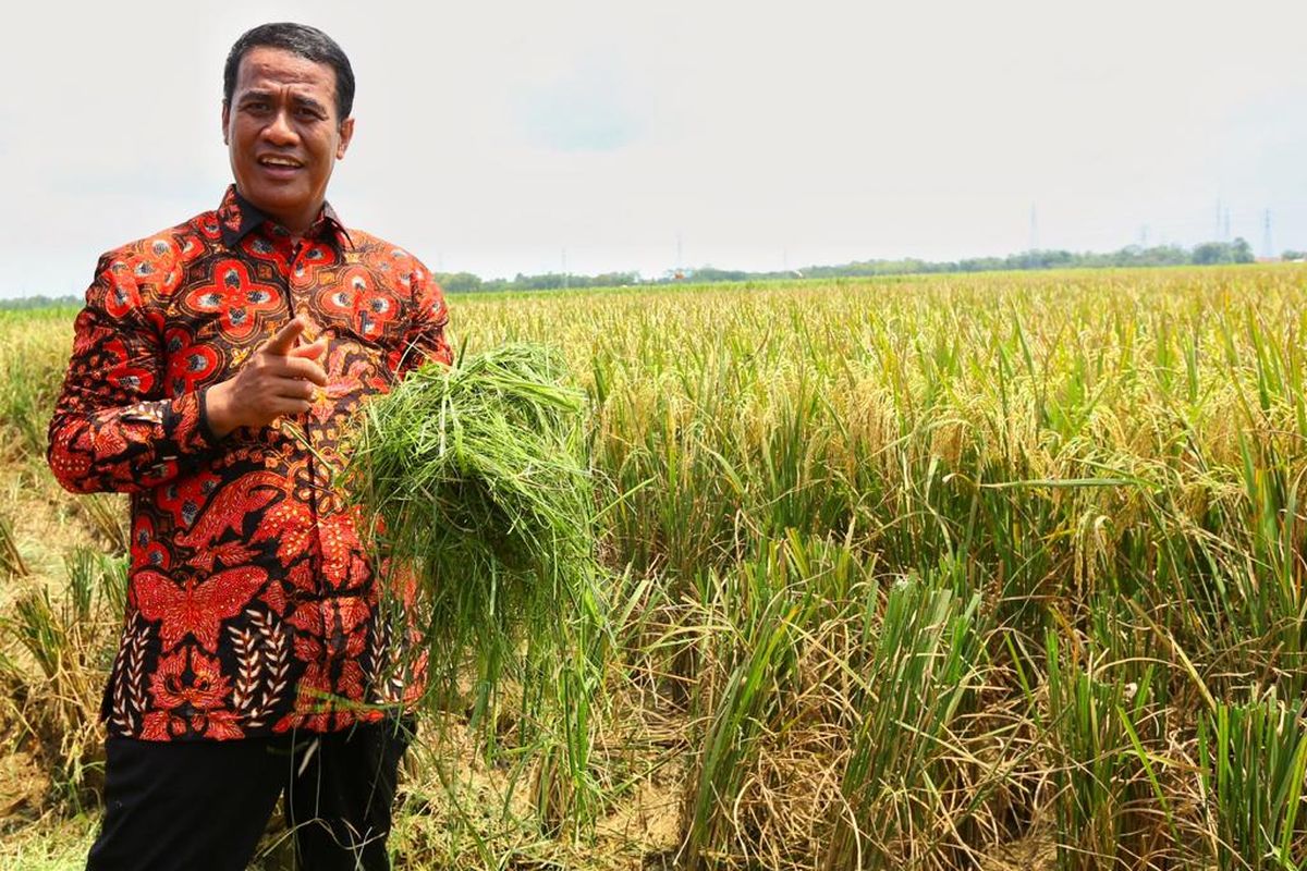 Kementan mengklaim bahwa program dan kebijakan on the right track yang dilakukan selama empat tahun terakhir adalah kunci utama meningkatkan produksi dalam negeri secara signifikan. 